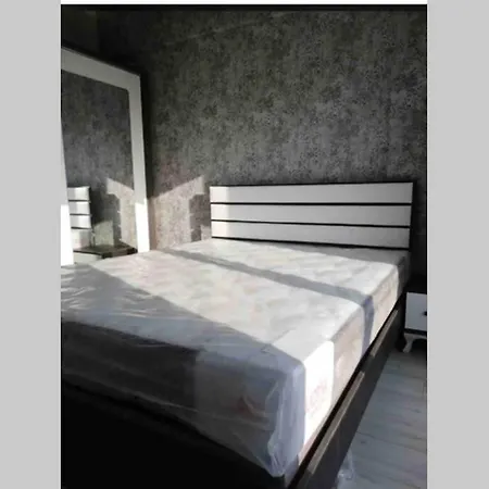 3 Bed Rooms Luxury Furnished Apartment In Compound
